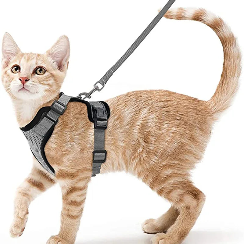 Cat Harness and Leash – Soft Adjustable Vest for Walking