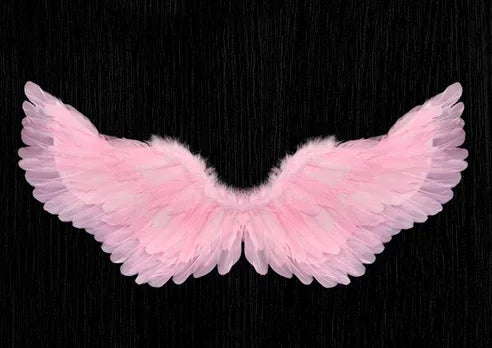 1pcs Child Adult Angel Feather Wing Show Fairy Costume Cosplay Props Party Wedding Birthday Gift Halloween Decoration Christmas