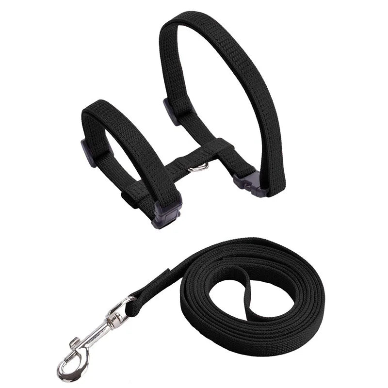 Adjustable Cat Collar – Cozy Nylon Breakaway Collar