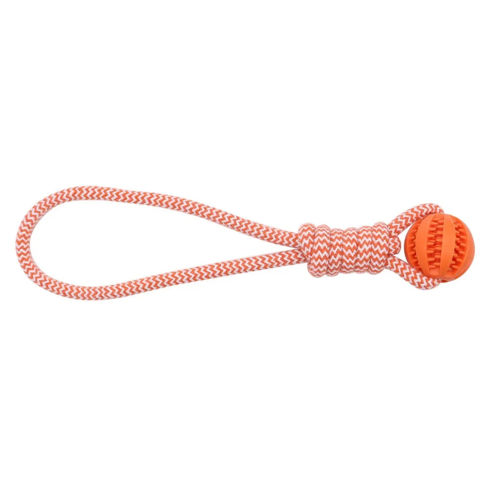 Dog Chew Ball – Rubber Teeth Cleaning Toy for Dogs