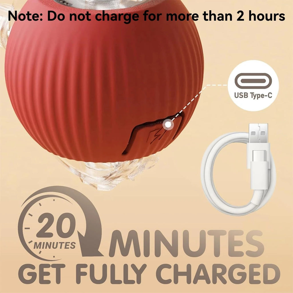 Rolling Ball Dog Toy – Rechargeable Play Ball for Dogs & Cats