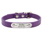 Personalized Dog Collar – Engraved Leather Pet ID Collar