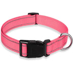 Reflective Dog Collar – Adjustable Nylon Safety Collar with Buckle