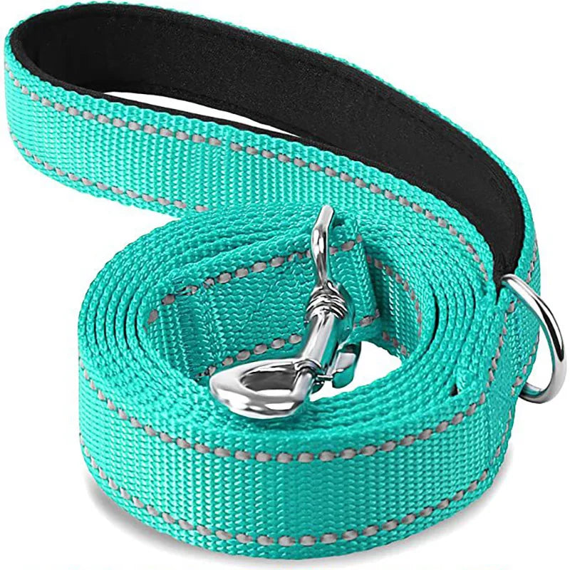 Reflective Dog Leash, Nylon Walking and Training Lead for Night