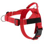 Personalized Reflective No Pull Harness for Small Medium Dog Washable Explosion-proof Comfort Dog Harnesses Pechera Para Perro