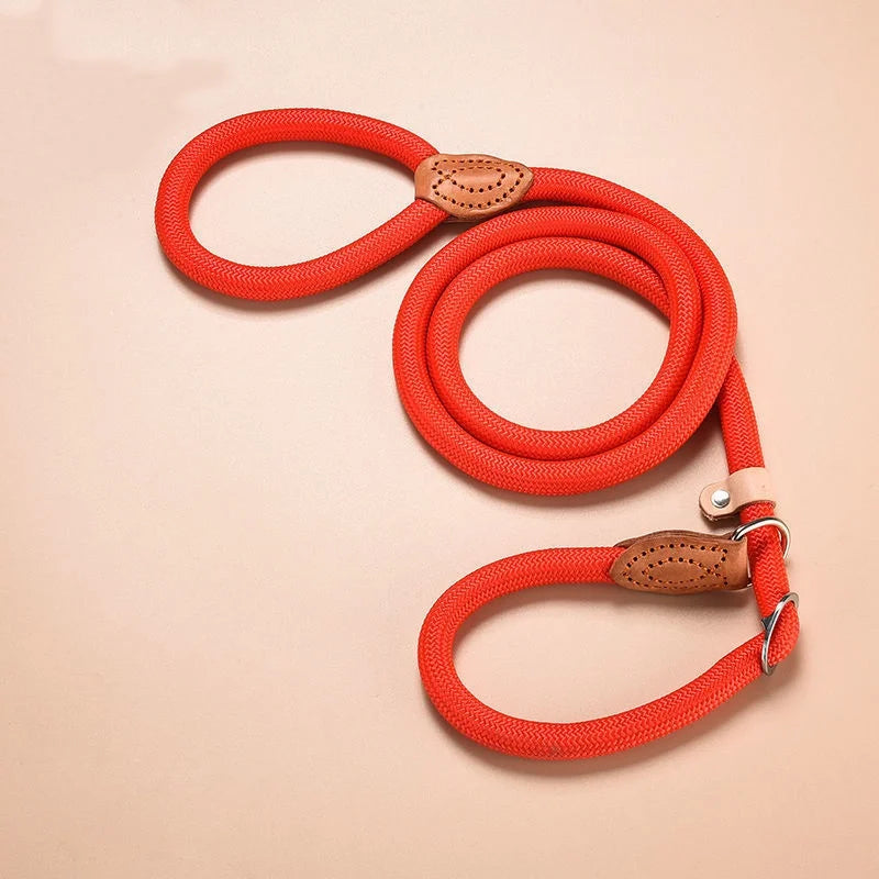 Slip Rope Dog Leash – Adjustable Nylon Lead