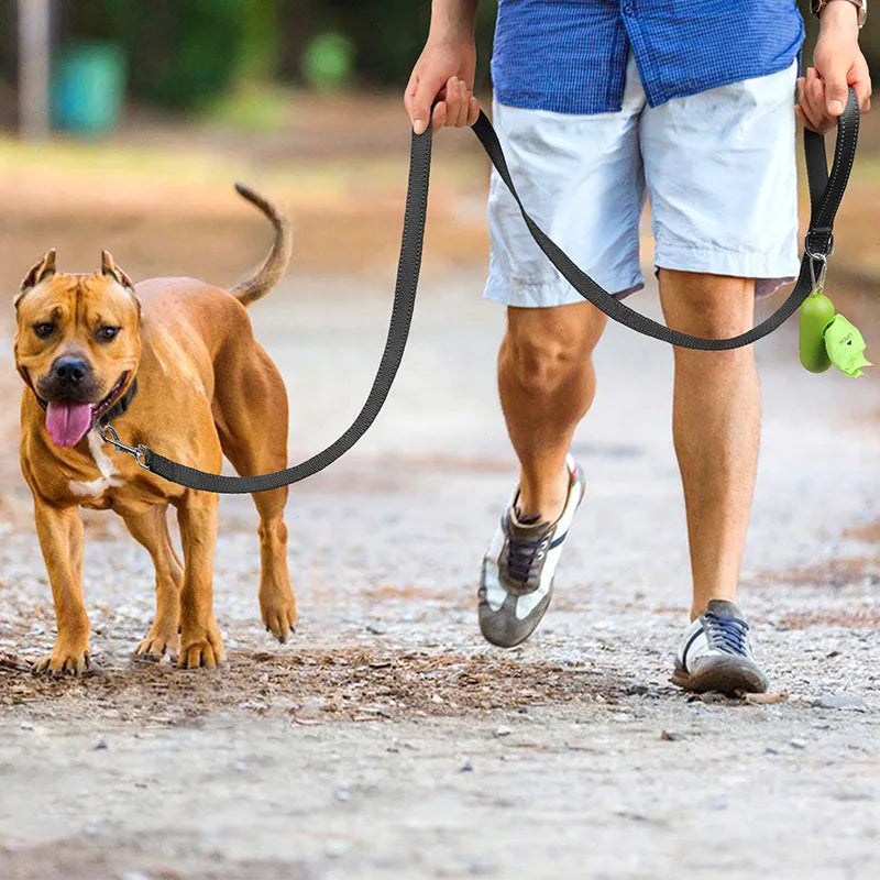 Reflective Dog Leash, Nylon Walking and Training Lead for Night