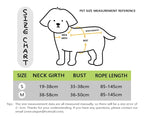 Dog Harness and Leash Set
