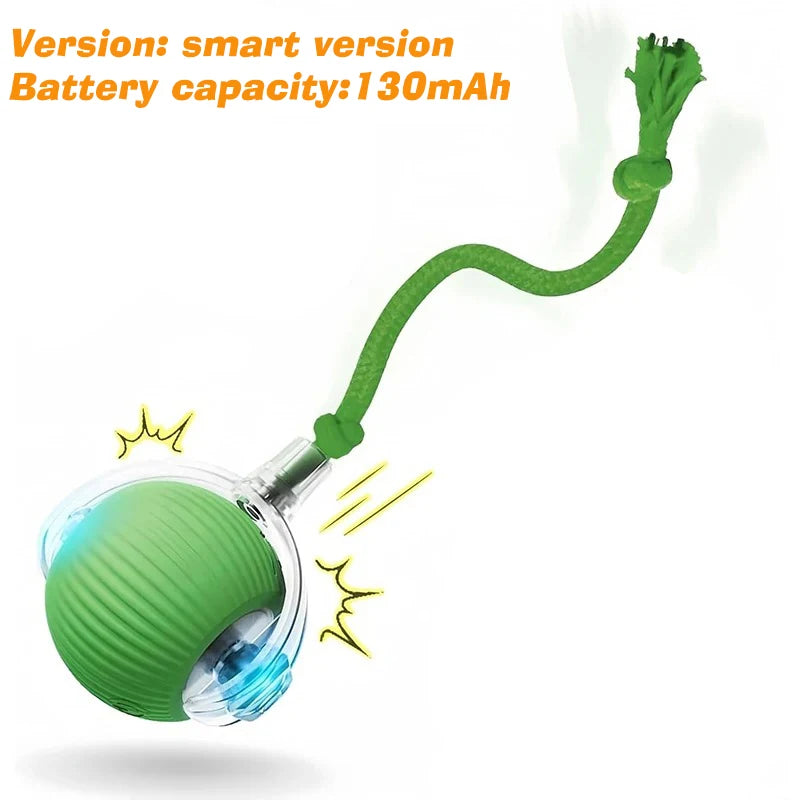 Automatic Dog Ball – Rechargeable Interactive Rolling Toy