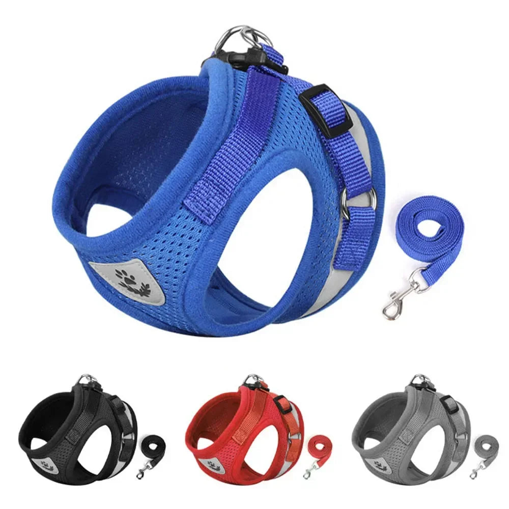 Cat Harness and Leash Set