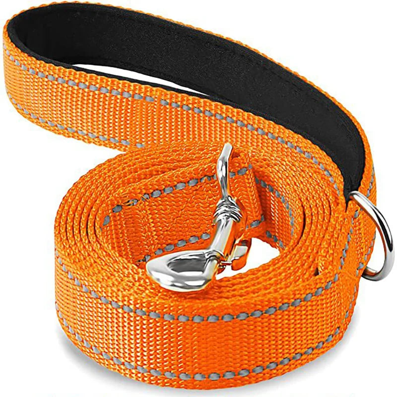 Reflective Dog Leash, Nylon Walking and Training Lead for Night