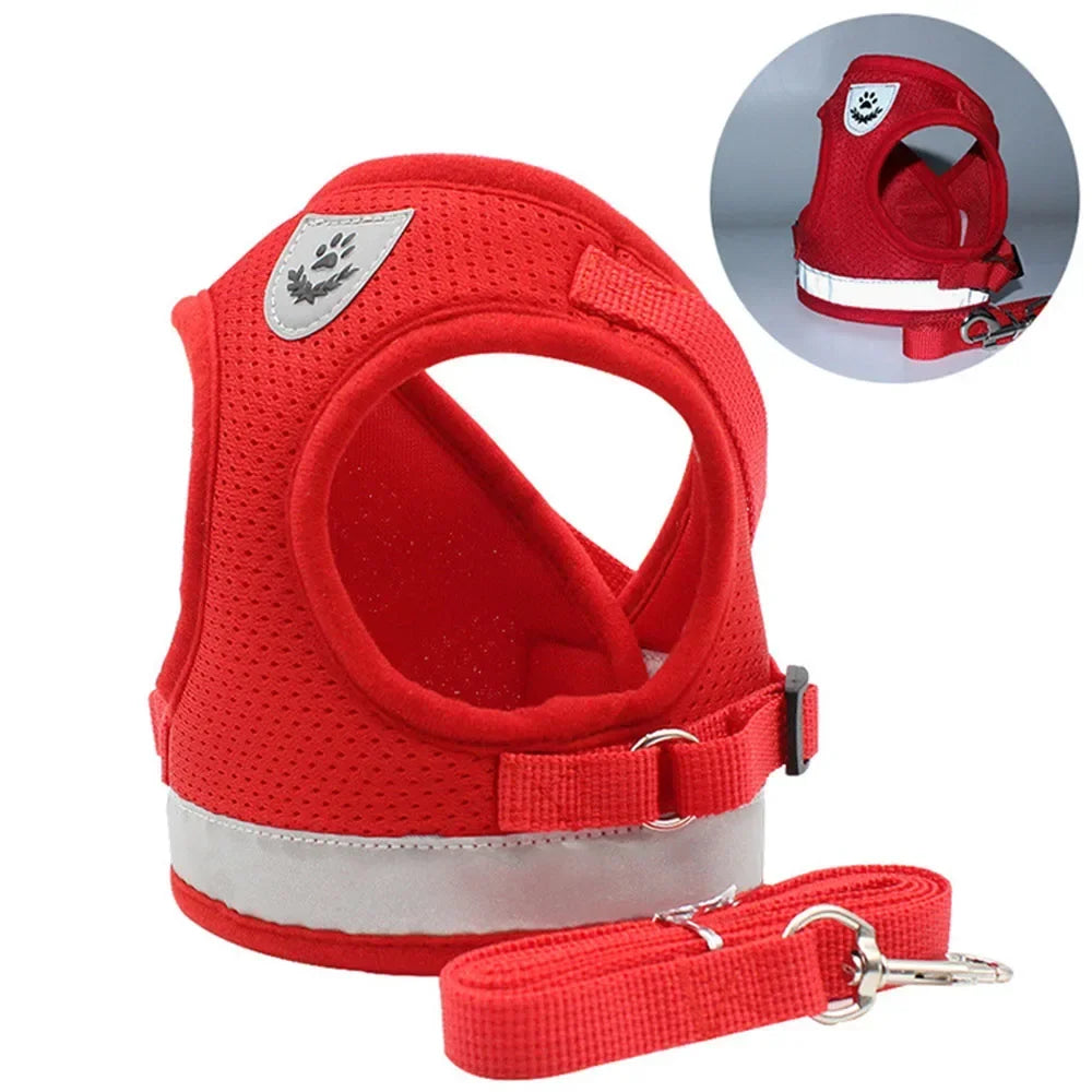 Cat Harness and Leash Set