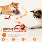 Automatic Dog Ball – Rechargeable Interactive Rolling Toy