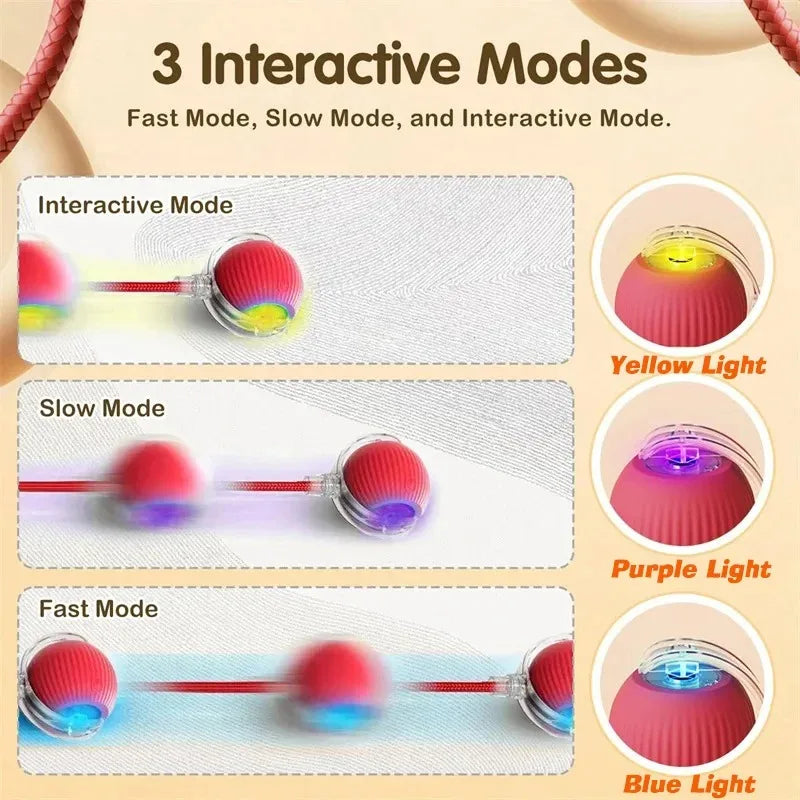 Automatic Dog Ball – Rechargeable Interactive Rolling Toy