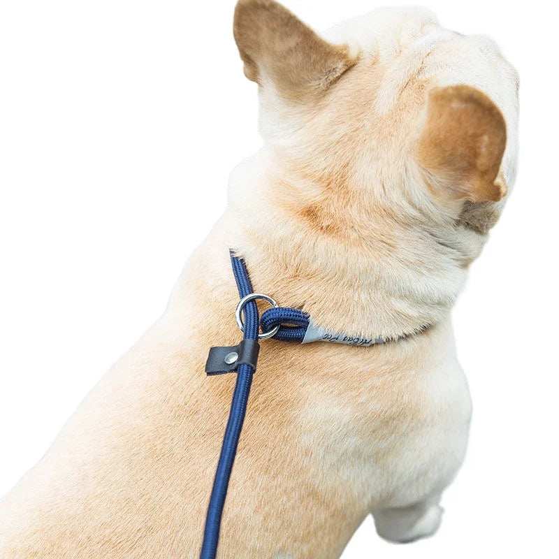 Slip Rope Dog Leash – Adjustable Nylon Lead