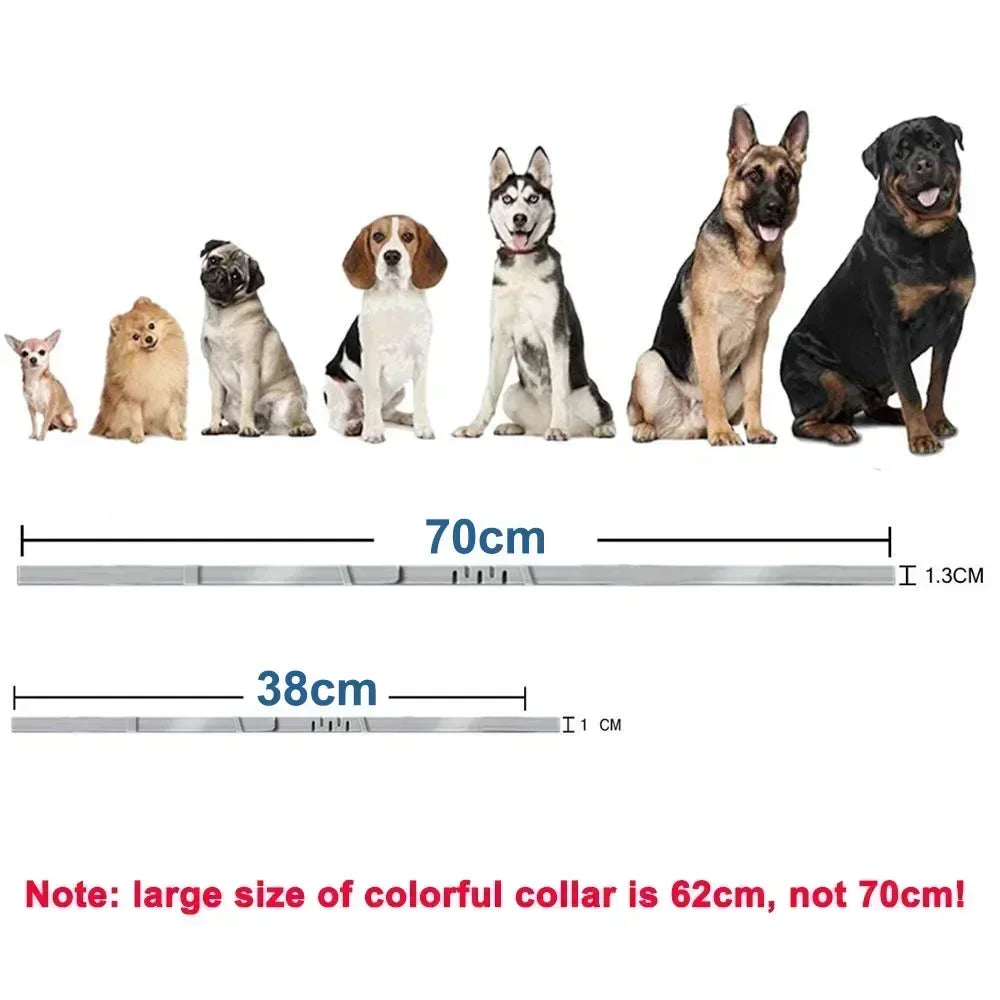 Breakaway Dog Collar – Adjustable Slip-On Collar for All Seasons