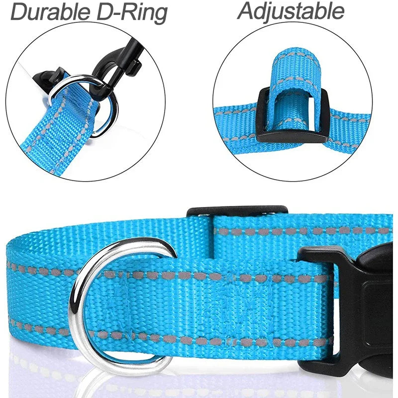 Reflective Dog Collar – Adjustable Nylon Safety Collar with Buckle