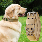 Adjustable Dog Collar – Nylon Working Collar with Metal D-Ring