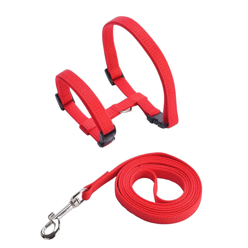 Adjustable Cat Collar – Cozy Nylon Breakaway Collar