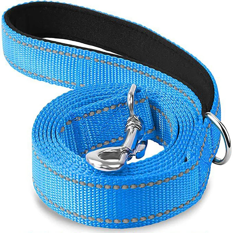 Reflective Dog Leash, Nylon Walking and Training Lead for Night