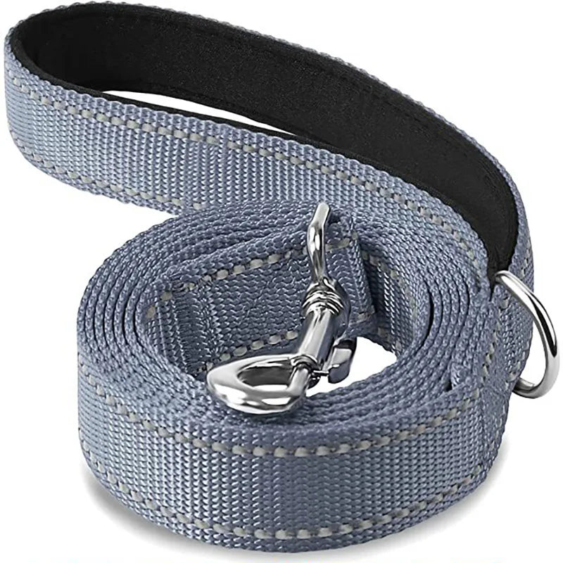 Reflective Dog Leash, Nylon Walking and Training Lead for Night