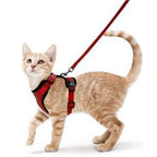 Cat Harness and Leash – Soft Adjustable Vest for Walking