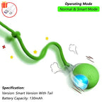 Interactive Bird Cat Toy, Hanging Plush Toy with Sound