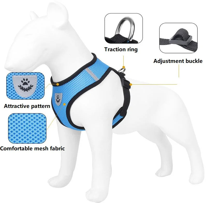 Cat Harness and Leash