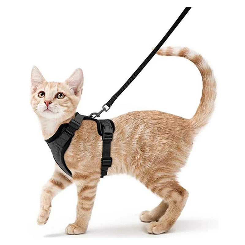 Cat Harness and Leash – Soft Adjustable Vest for Walking