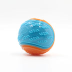 Squeaky Dog Ball – Interactive TPR Teeth Cleaning Toy