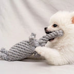 Rope Dog Toy, Knotted Chew Toy for Small & Medium Dogs