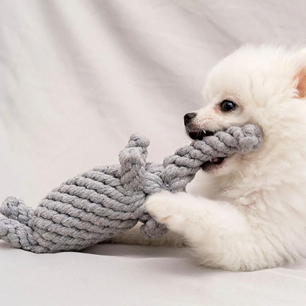 Rope Dog Toy, Knotted Chew Toy for Small & Medium Dogs