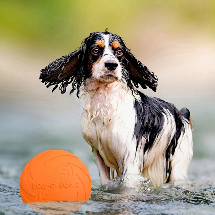 Dog Flying Disc, Soft Rubber Outdoor Toy for Training and Fetch