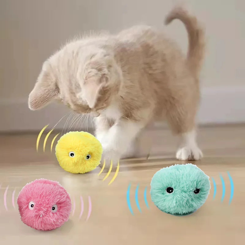 Interactive Cat Toy Ball with Catnip & Sound