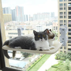 Cat Window Hammock – Foldable Suction Cup Hanging Cat Bed