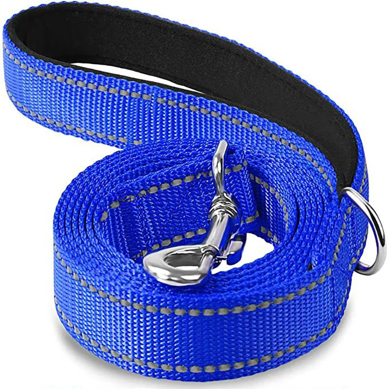 Reflective Dog Leash, Nylon Walking and Training Lead for Night