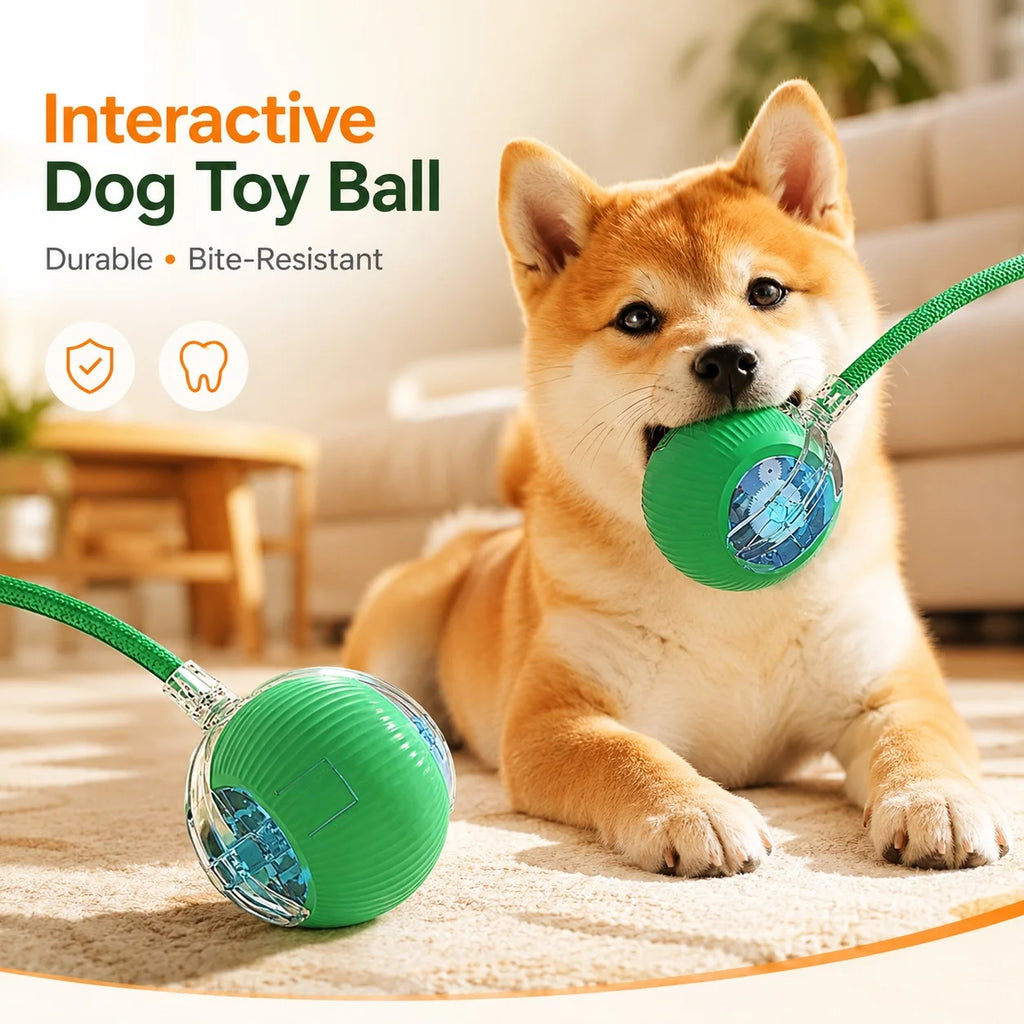 Automatic Dog Ball – Rechargeable Interactive Rolling Toy
