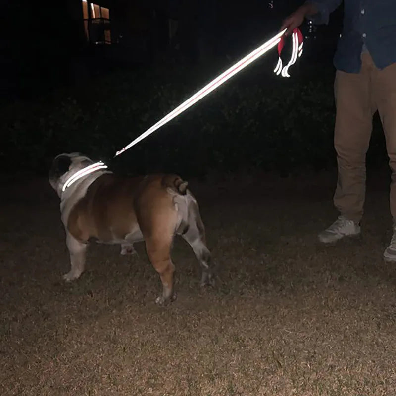 Reflective Dog Leash, Nylon Walking and Training Lead for Night