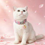 Embroidered Cat Collar with Bell – Breakaway Safety Buckle