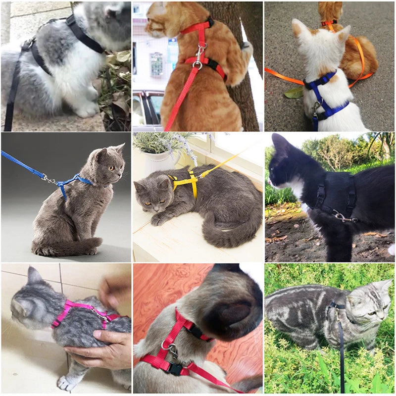 Adjustable Cat Collar – Cozy Nylon Breakaway Collar